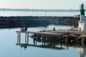 The clear waters of the Etang, a haven for fish and shellfish