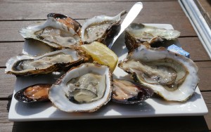 Marseillan Oysters fresh from the Etang de Thau